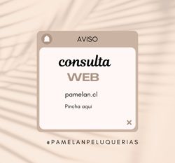 consulta web